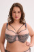 Semi-soft model 220482 Gaia