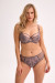 Semi-soft model 220484 Gaia