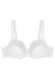 Soft model 229108 Triumph