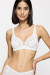 Soft model 229109 Triumph