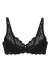 Soft model 229124 Triumph Soft model 229124 Triumph