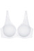Soft model 229313 Triumph