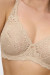Soft model 229328 Triumph Soft model 229328 Triumph