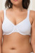 Soft model 229349 Triumph Soft model 229349 Triumph