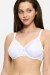 Soft model 229351 Triumph Soft model 229351 Triumph