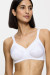 Soft model 229353 Triumph Soft model 229353 Triumph