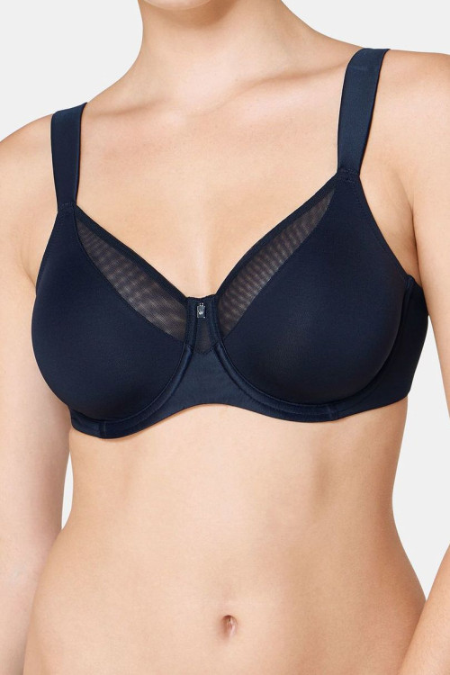 Soft model 229361 Triumph