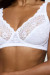 Soft model 229496 Triumph Soft model 229496 Triumph