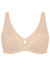 Soft model 229497 Triumph Soft model 229497 Triumph