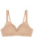 Soft model 229508 Triumph Soft model 229508 Triumph