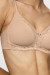 Soft model 229508 Triumph Soft model 229508 Triumph