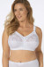 Soft model 229860 Triumph Soft model 229860 Triumph