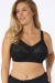 Soft model 229864 Triumph Soft model 229864 Triumph