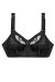 Soft model 229864 Triumph Soft model 229864 Triumph