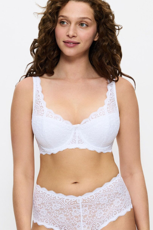 Soft model 229875 Triumph