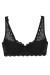 Soft model 229877 Triumph Soft model 229877 Triumph