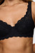Soft model 229877 Triumph Soft model 229877 Triumph