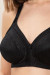Soft model 229894 Triumph Soft model 229894 Triumph