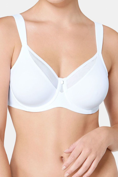 Soft model 229904 Triumph