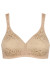 Soft model 230075 Triumph Soft model 230075 Triumph