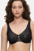 Soft model 230212 Triumph Soft model 230212 Triumph
