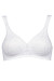 Soft model 230240 Triumph Soft model 230240 Triumph