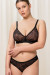 Soft model 230272 Triumph Soft model 230272 Triumph