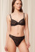 Soft model 230278 Triumph