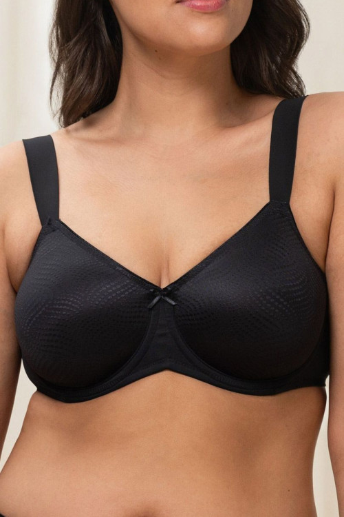 Soft model 230706 Triumph