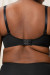 Soft model 230706 Triumph Soft model 230706 Triumph