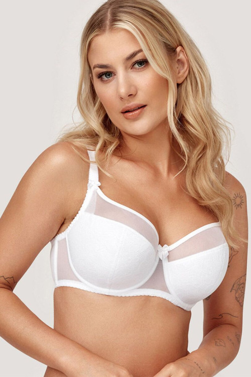 Semi-soft model 232242 Azal