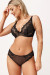 Semi-soft model 232249 Azal Semi-soft model 232249 Azal