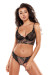 String model 183686 Axami